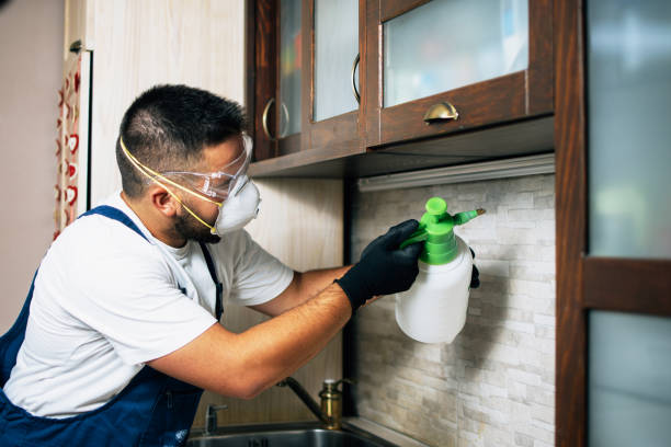 Reliable Leilani Estates, HI Pest Control Solutions