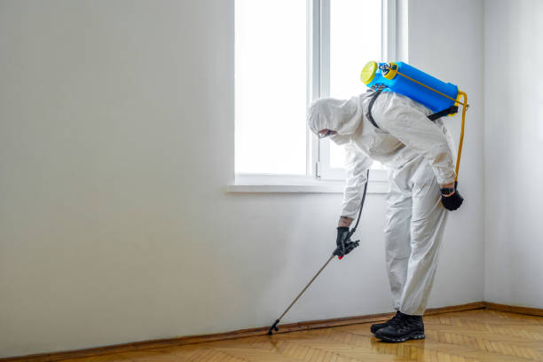 Best Pest Prevention Services  in Leilani Estates, HI