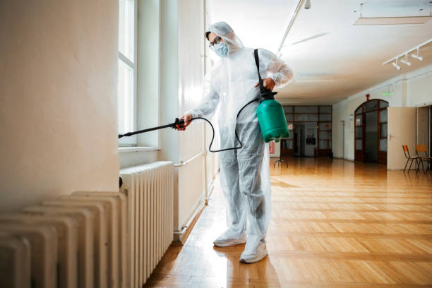 Best Termite Control Services  in Leilani Estates, HI