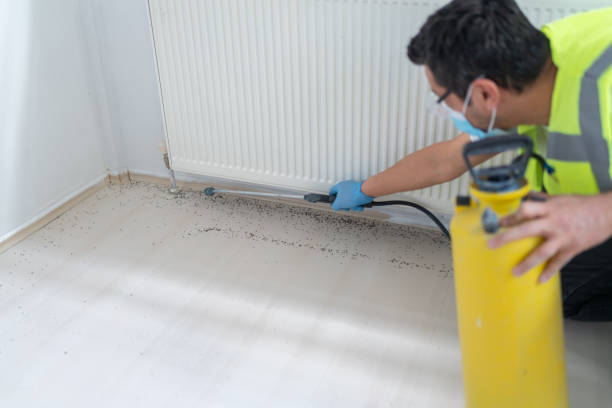Best Bed Bug Extermination  in Leilani Estates, HI